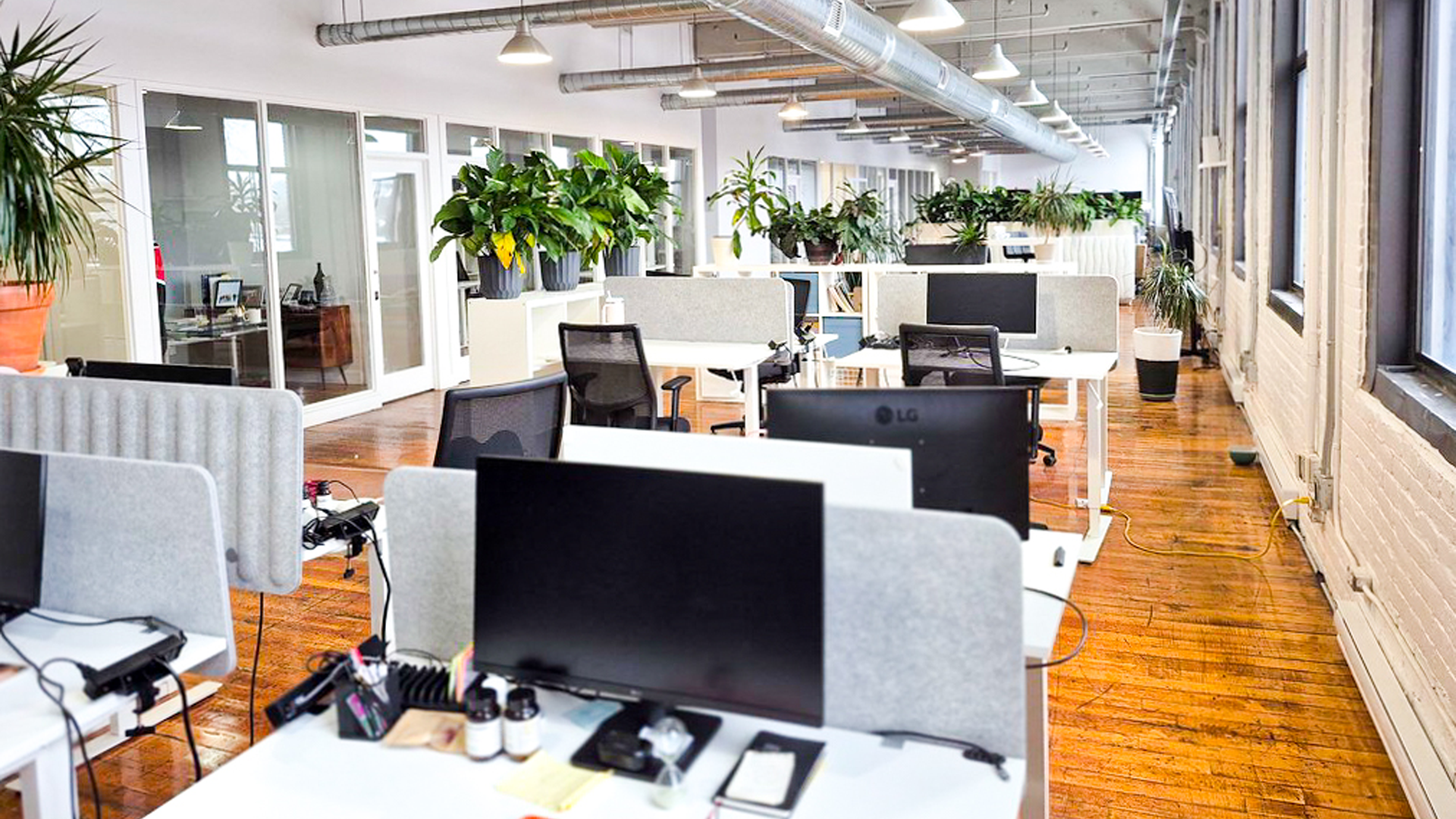 Dedicated desks with acoustic dividers at Coworking Saint-Henri, Montréal