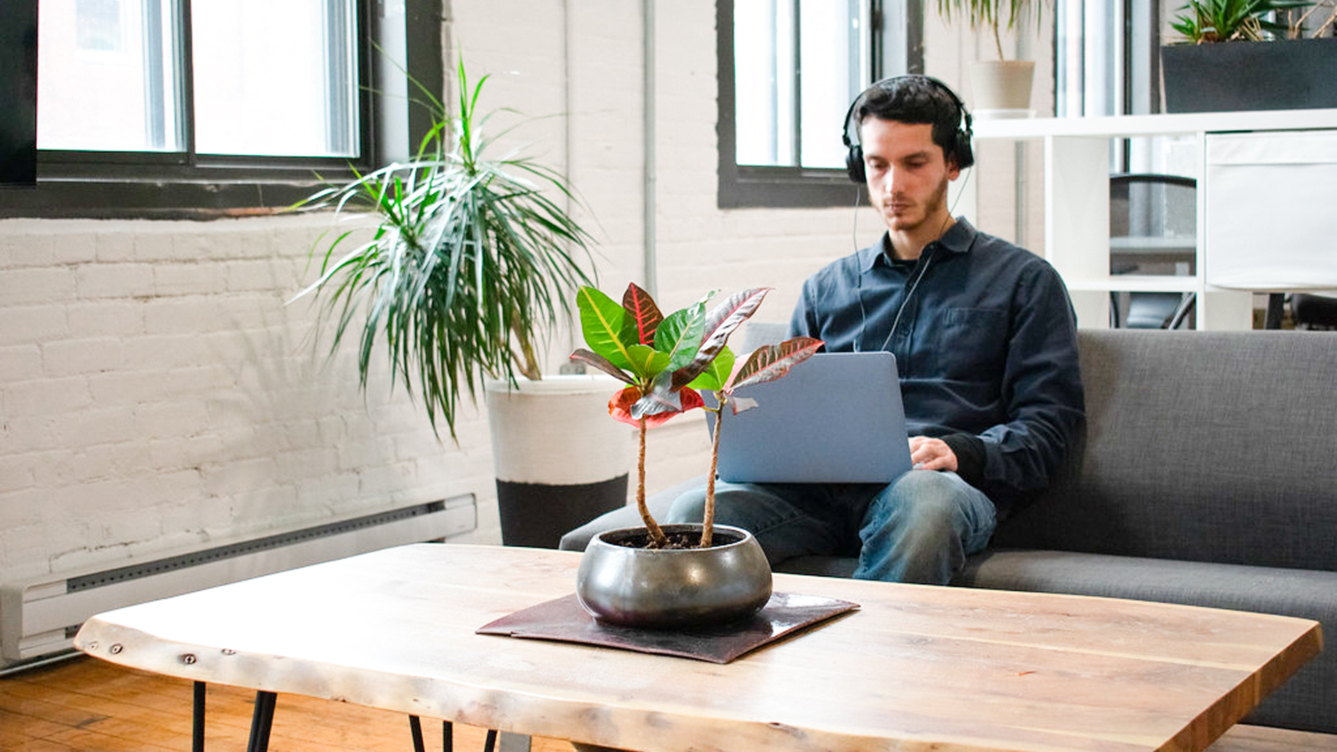 Professional working on laptop at Coworking Saint-Henri, Montréal